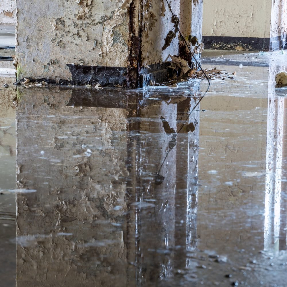 Image 3-Water Damage Restoration
